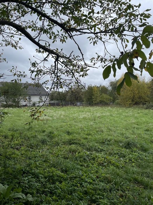 Земля Березівка. 23сот.під будівництво. Поруч з дорогою.