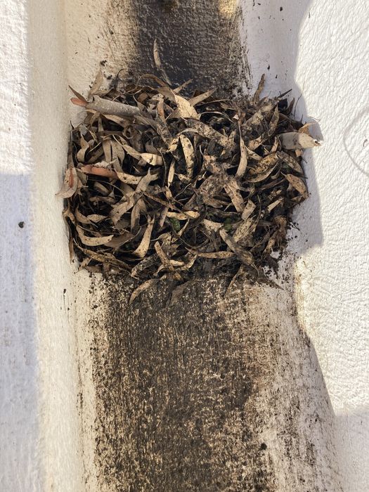 Limpeza de algerozes