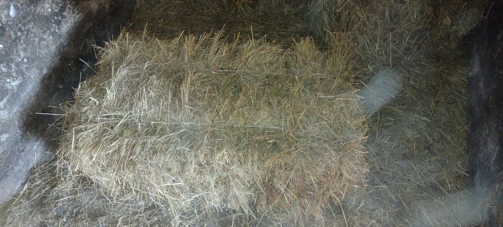 Якісне лугове сіно в тюках