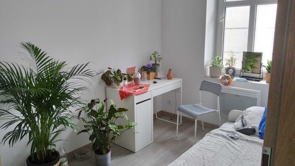 Pokój do wynajęcia ścisłe centrum Katowic