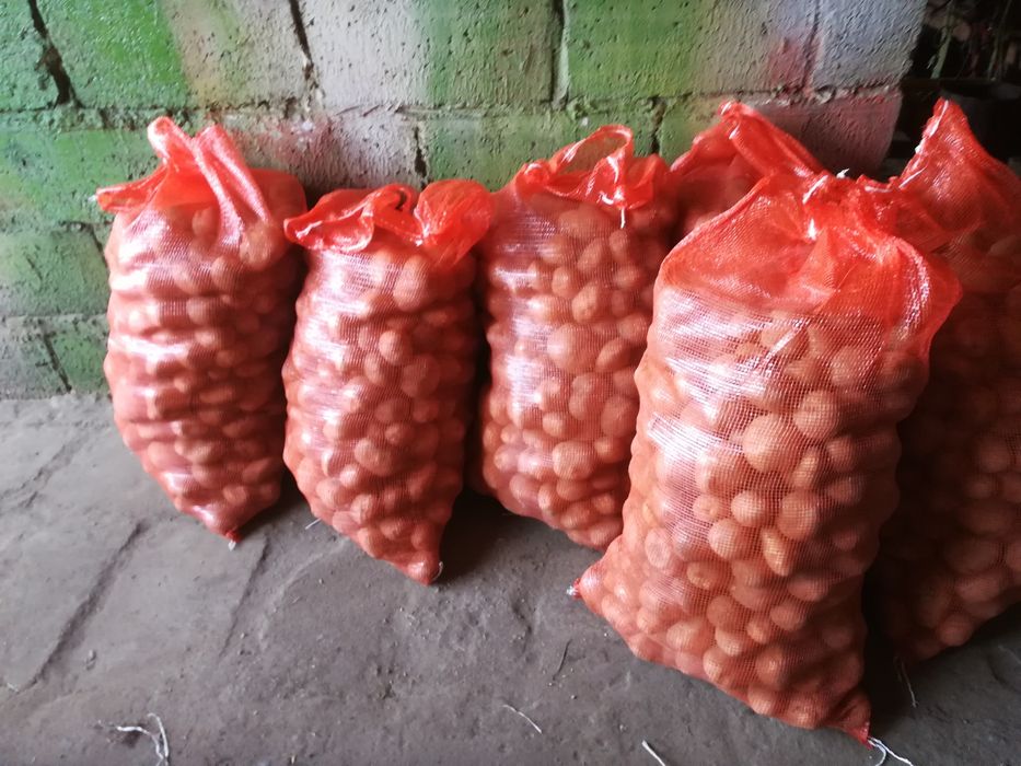 Ziemniaki vineta 2 zł/kg ładne duże smaczne