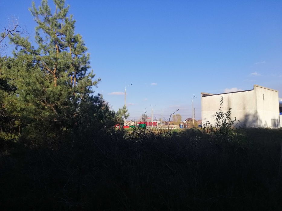 Участок, Леса ,Куриловка  Возле моста .Левый берег.