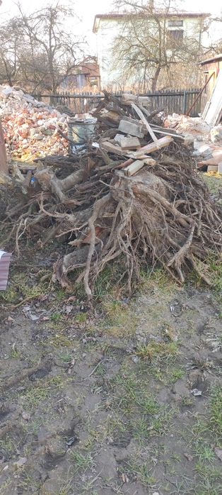 Drewno-korzenie, gałęzie oddam