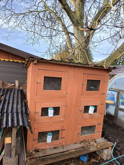 Klatka dla królików