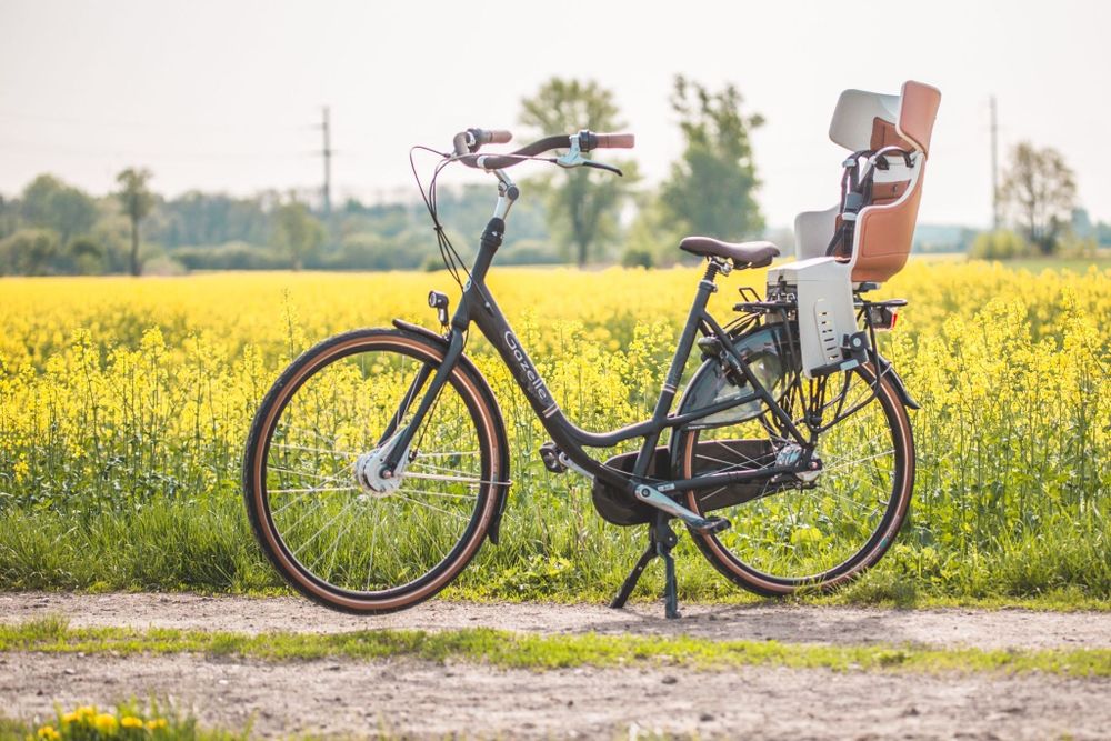 Fotelik rowerowy Bobike maxi Tour
