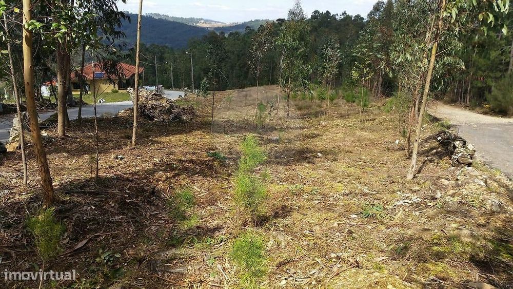 Terreno  para venda — Arouca E Burgo, Aveiro