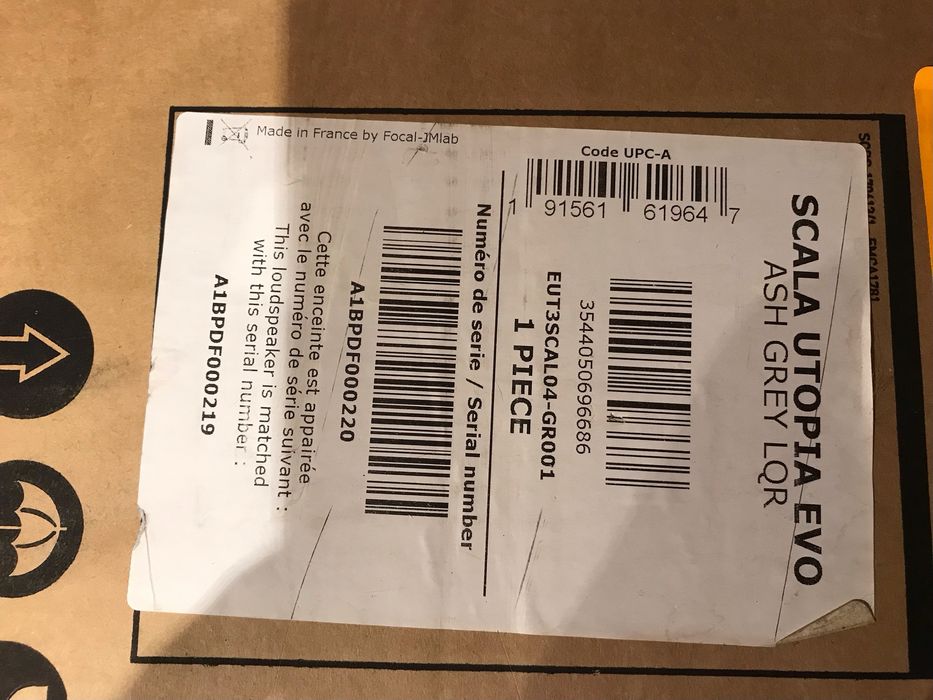 Focal Scala Utopia Evo Ash Grey