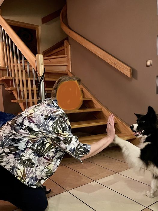 Balustrada ze schdow drewnianch