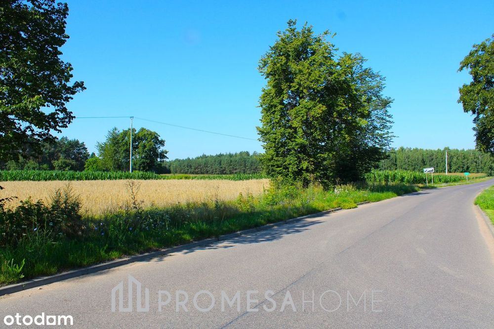 Garlino/Mława działka budowlana MPZP dojazd asfaltowy blisko lasu SUPE - Widok 4