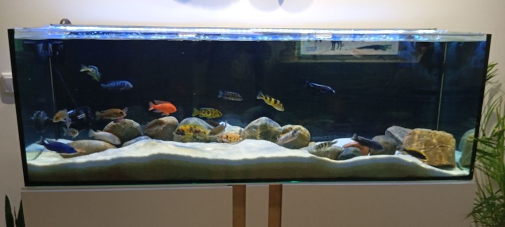 Aquário e  móvel