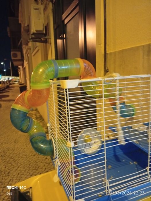 Gaiola grande para hamster com acessórios completos