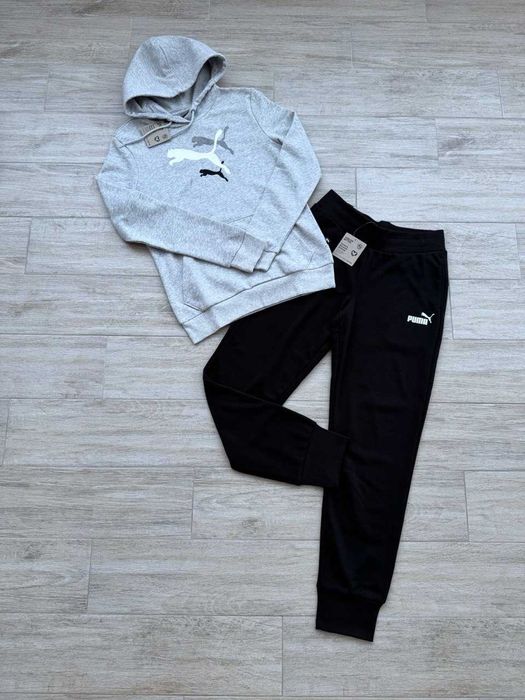 Puma ESS+ Logo Power Hoodie