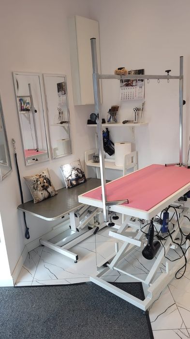 Odstąpię prosperujacy salon groomerski  Sopot/ Gdańsk