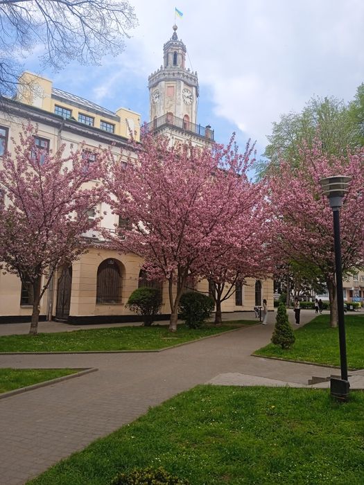 Подобова оре byнда квартири