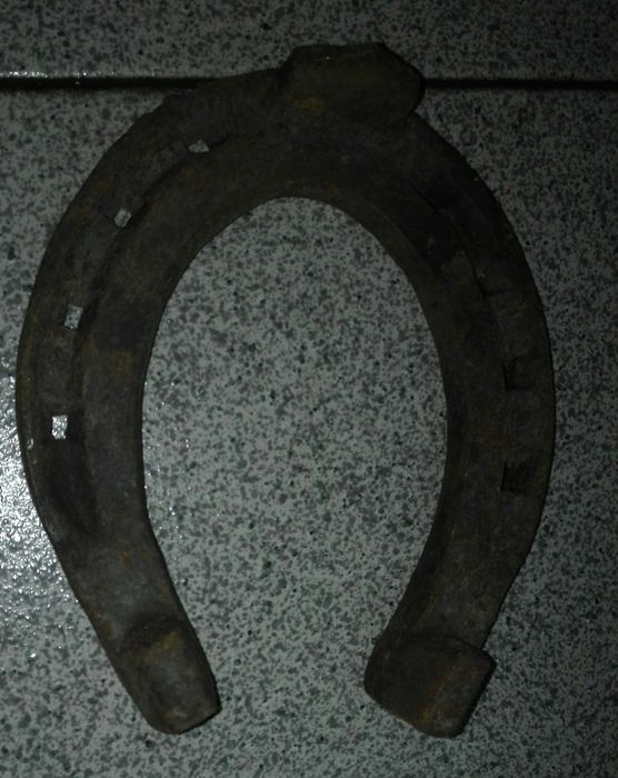 Ferraduras de equideos