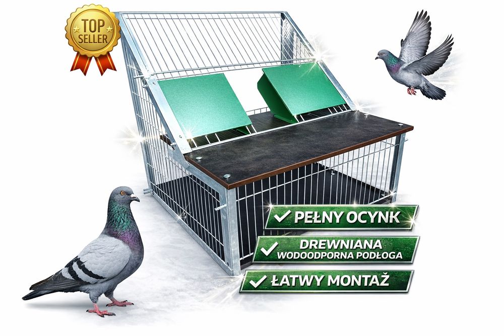 Wlot-Wylot Belgijski dla gołębi z drewnianą podłogą 60cm
