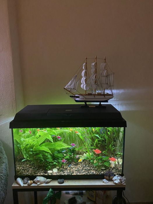 Акваріум Juwel 60л