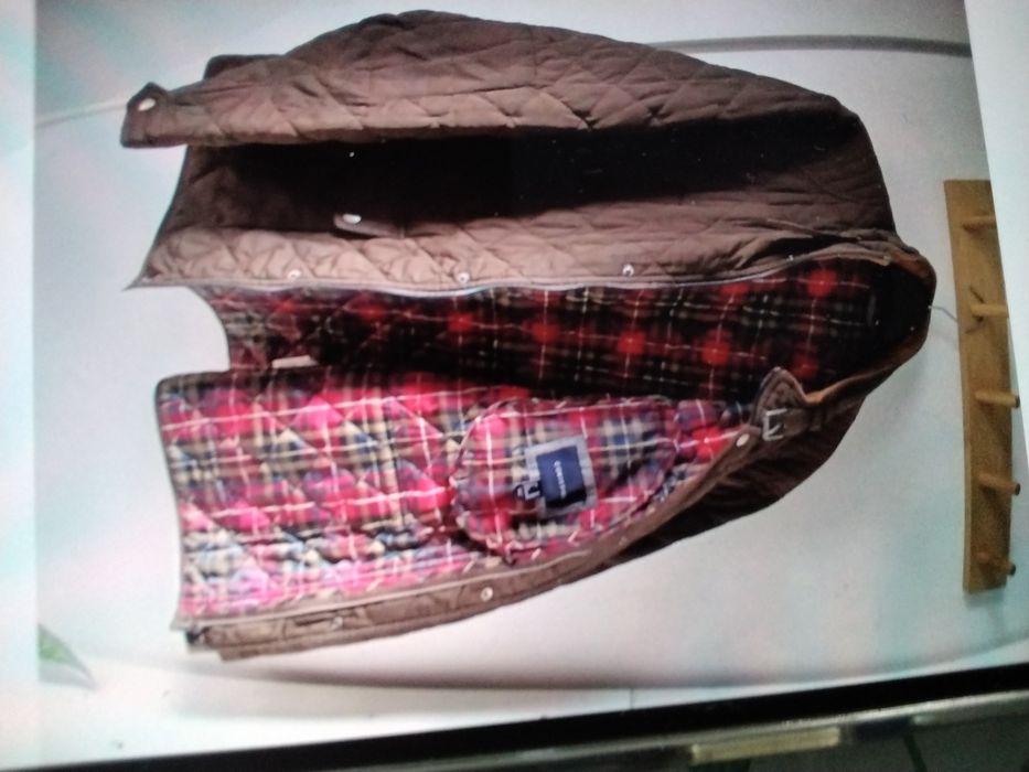 Quispo castanho forraco xadre