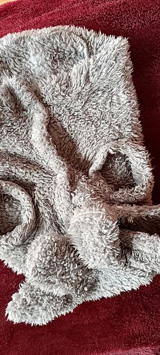 Roupa para cão. Usado várias vezes. Cinza