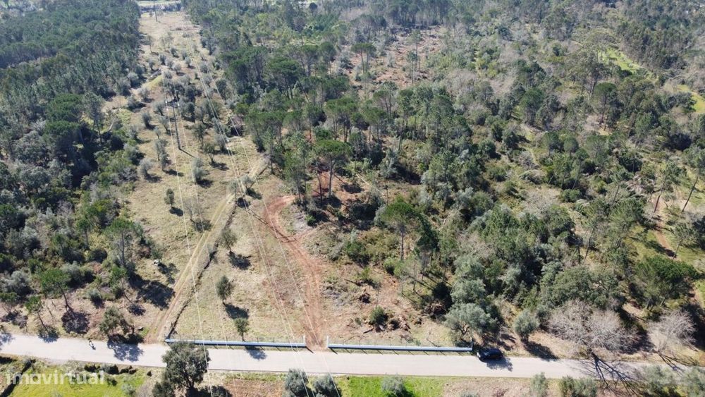 Terreno com 19.130 m2 e frente de estrada – Orelhudo, Cernache | A pou