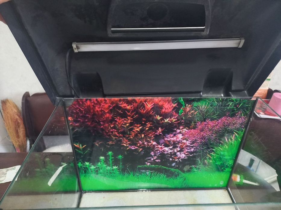 Акварюм новий стан 57