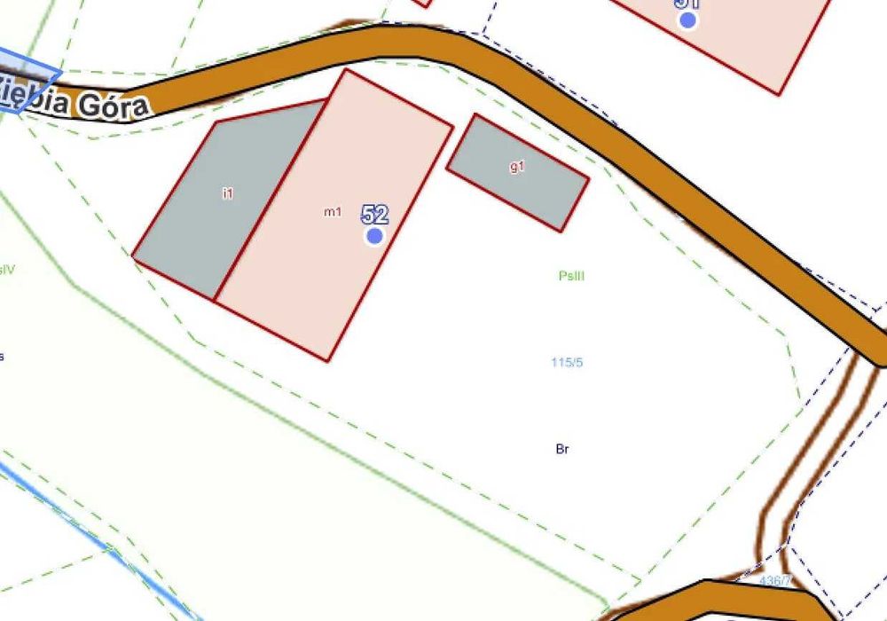 Budynek 438 m² + działka bud. (17 arów) CENA DO NEGOCJACJI - Więcej