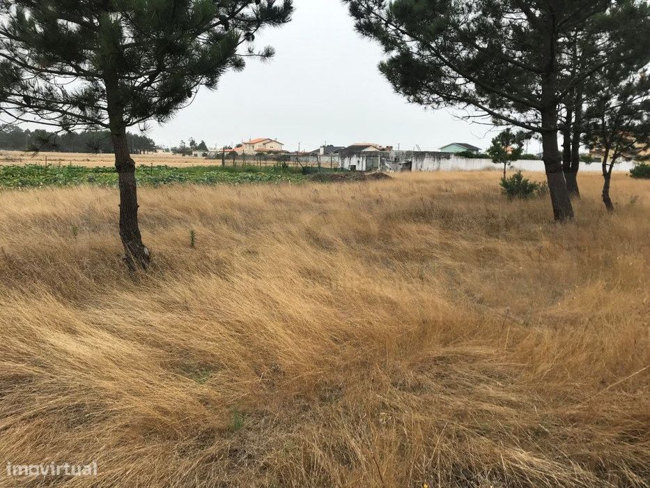 Terreno para moradia - Gafanha do Carmo