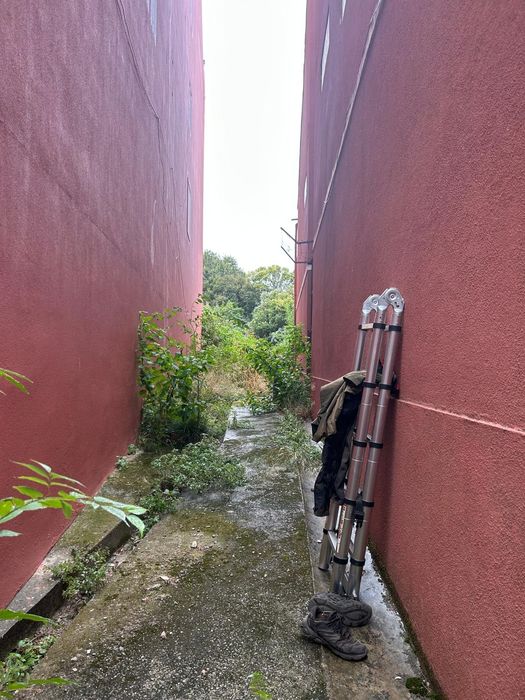 Limpeza de terrenos