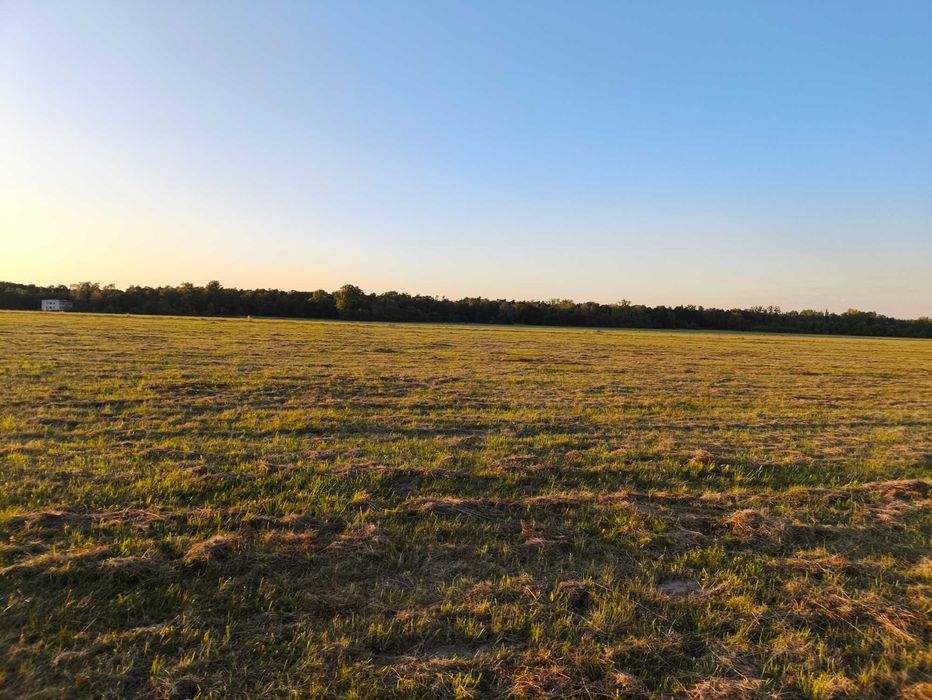 Łąki 24 ha łąka trawa siano oddam za darmo Gmina Chocianów Lubin DLNŚ.