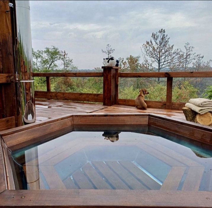 Аренда шале, глэмпинг посуточно дом возле леса, басейн,чан.