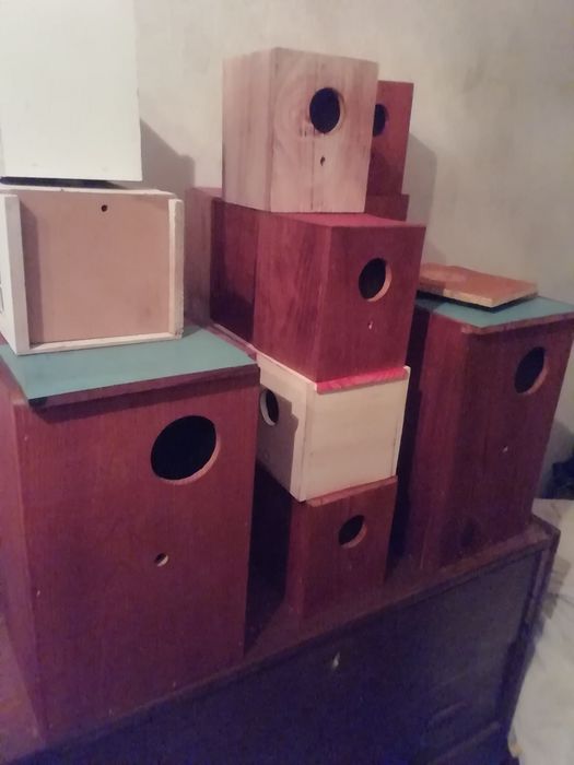 Ninhos para periquito caixas