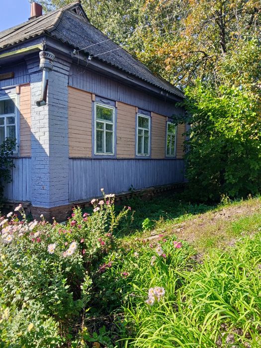 Продаж будинку в селі