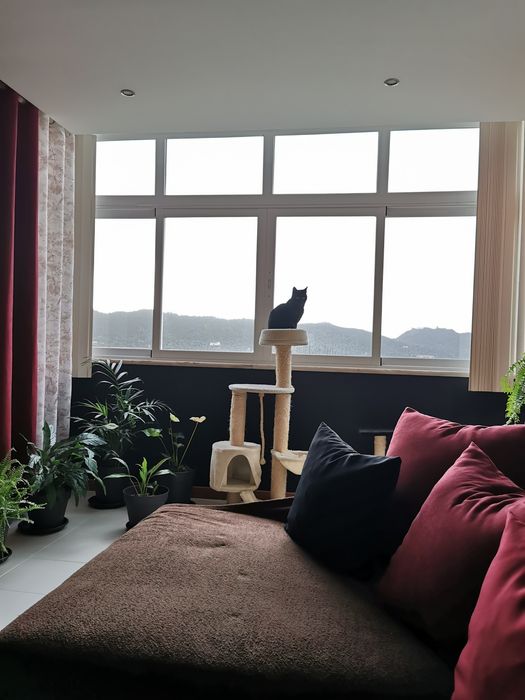 Apartamento panorâmico para venda