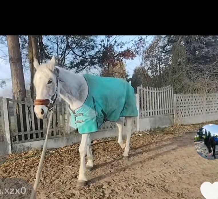 Derki padokowe z polarem 125,135,145