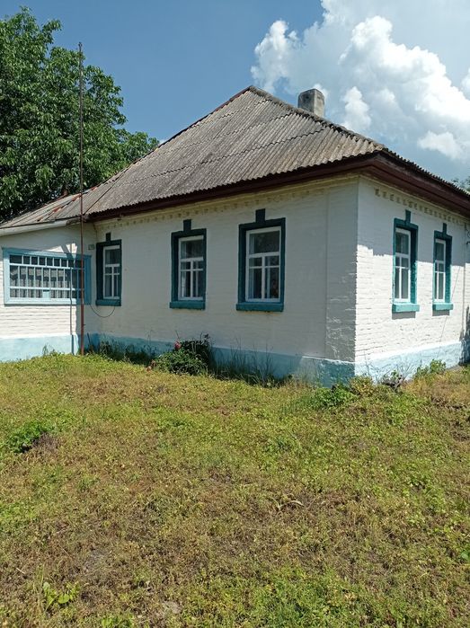 Продам садибу в селі Олишівка.