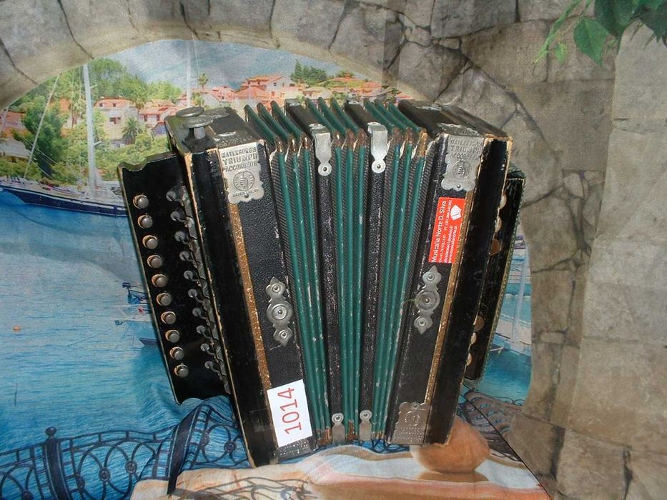 Promoção de Acordeões de concertinas