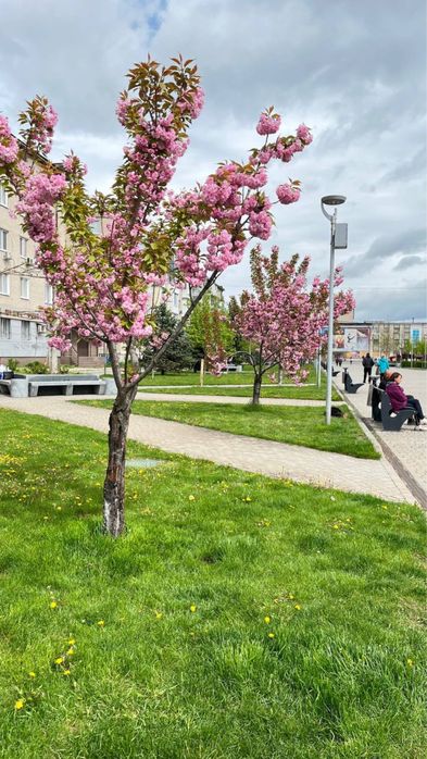 От владельца Своя 2-кімнатна квартира центр фонтан площа Героїв