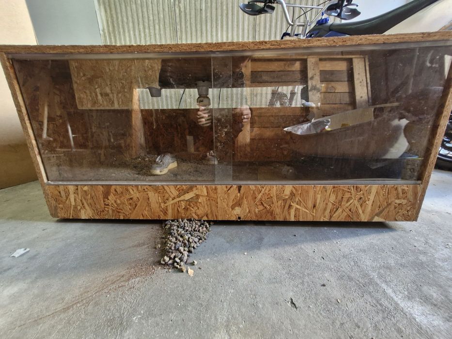Terrario de madeira