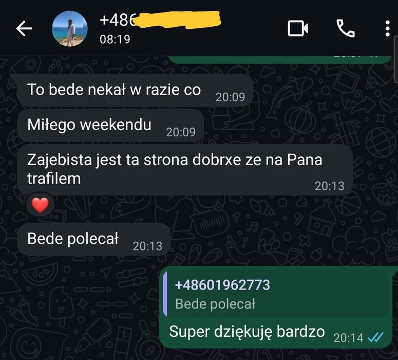 Strona internetowa w 2 dni