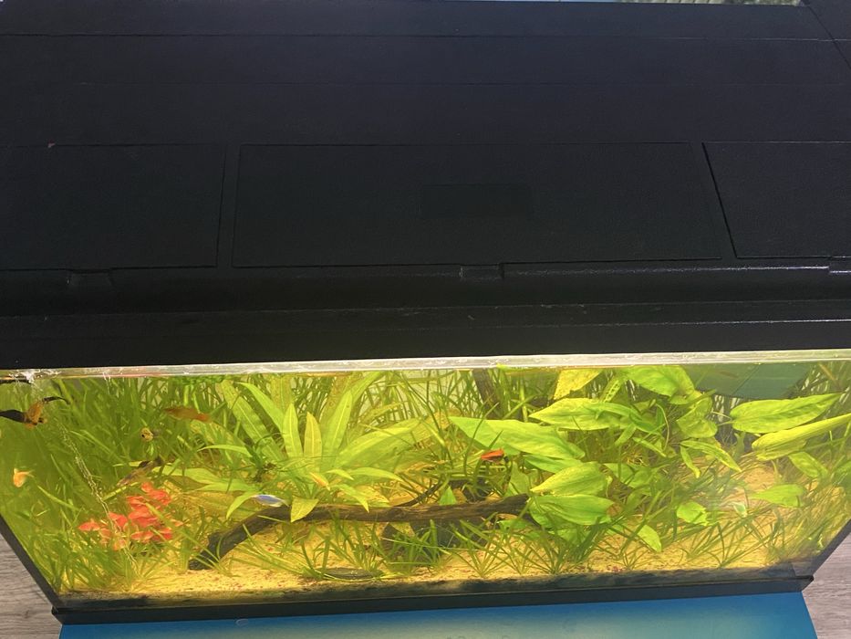 Akwarium 120l w pełni szczelne