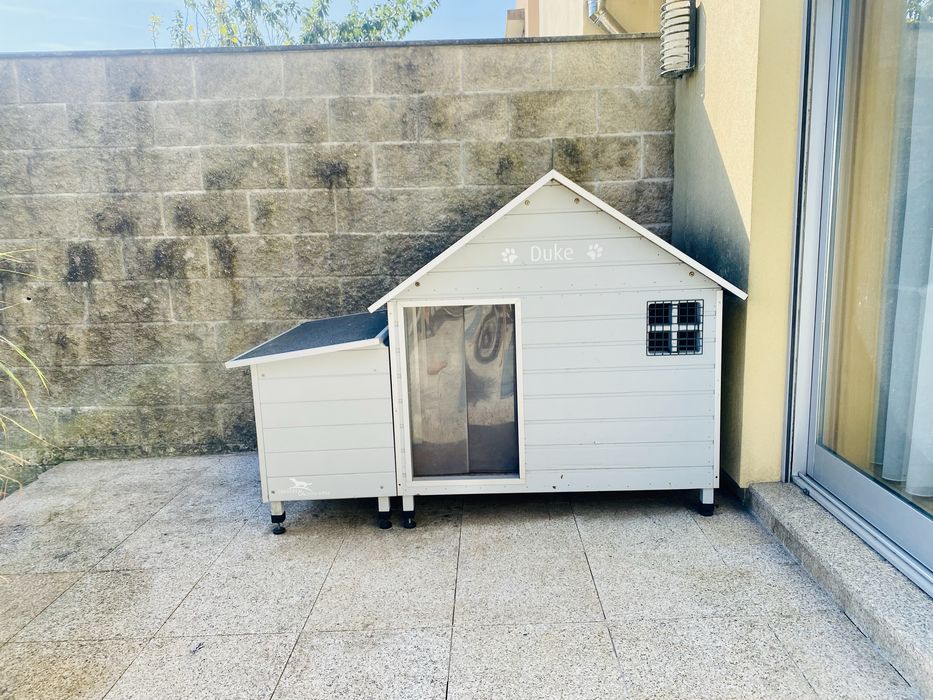 Casota XXL para cães
