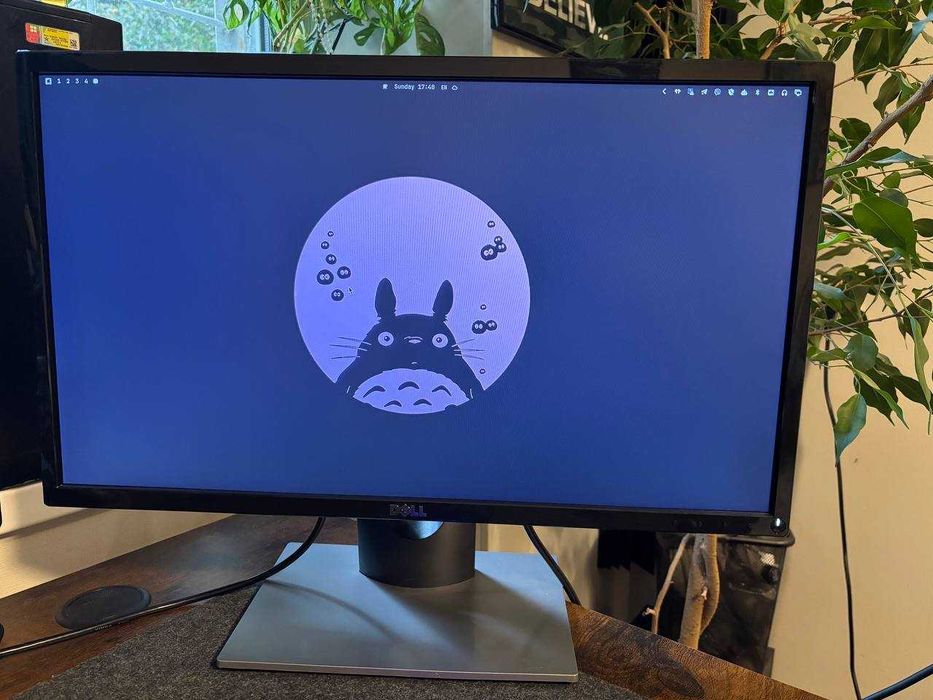 Монітор Dell SE2416H 23.8-inch Full HD IPS 1920 x 1080 гарний стан
