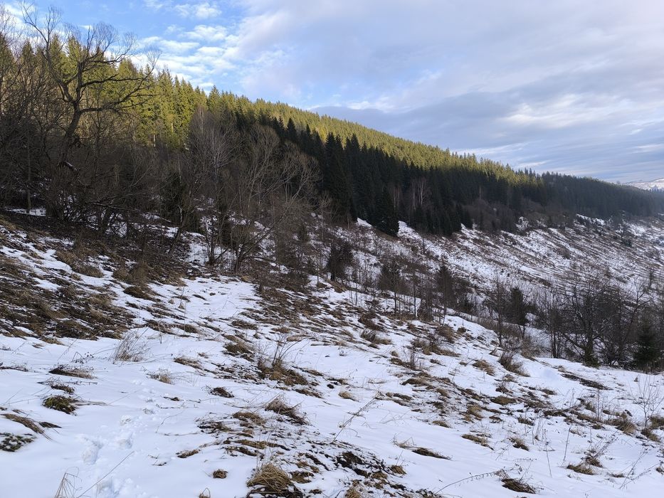 Красник, гори Карпати, Верховинщина, столиця Гуцульщини