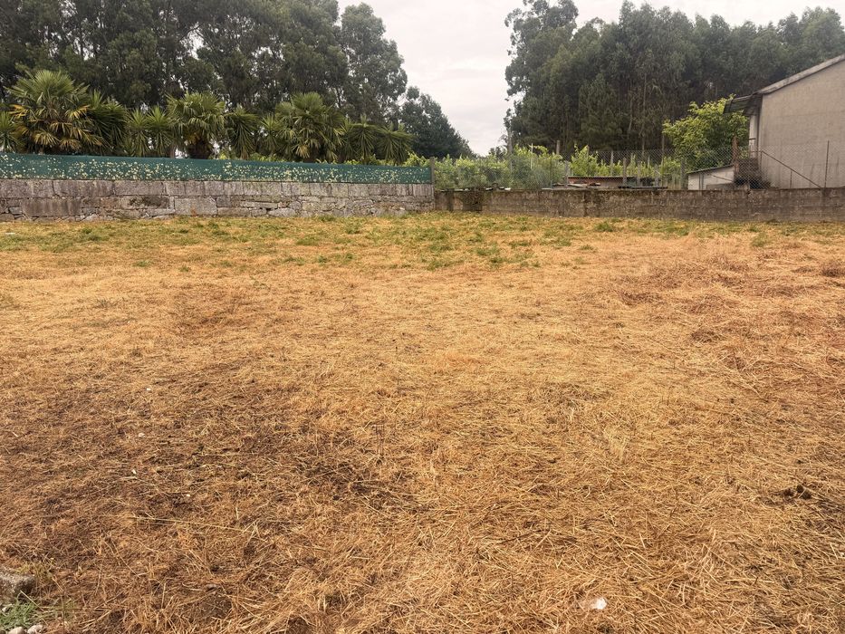 Limpeza de terreno / Manutencao de jardins