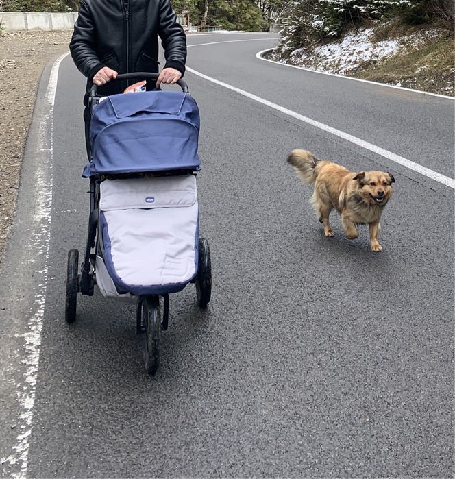 Chicco Trio Activ 3 візочок всюдихід з великими колесами