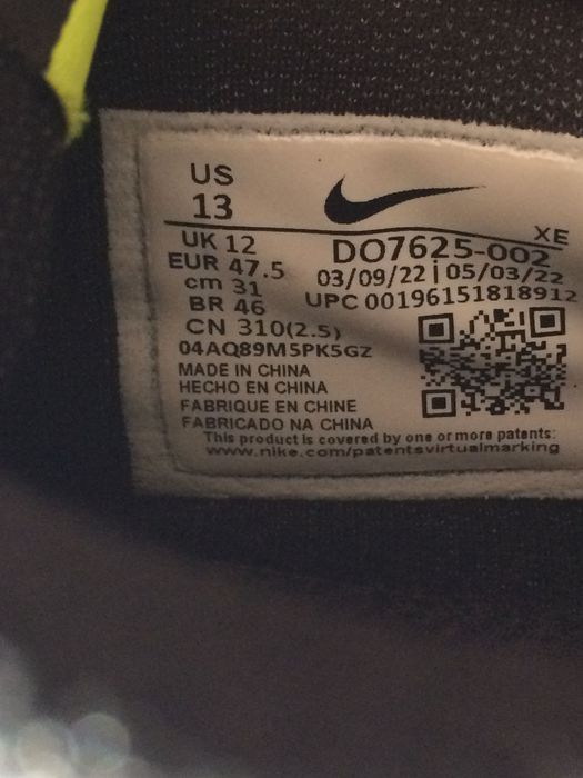 Nike Pegasus 39 Shield