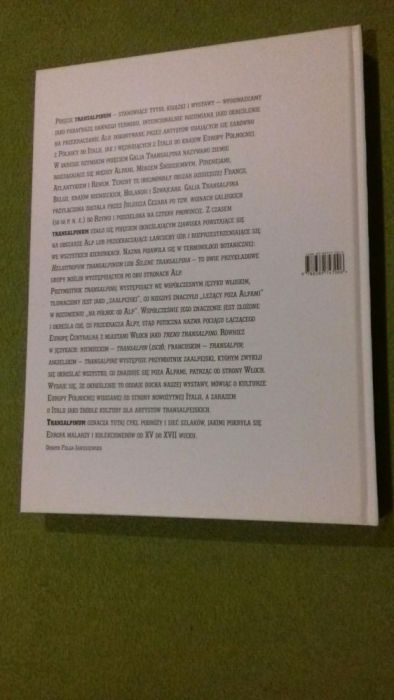 Transalpinum Po obu stronach Alp Malarstwo w Europie