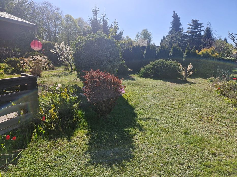 Zdjęcie 5