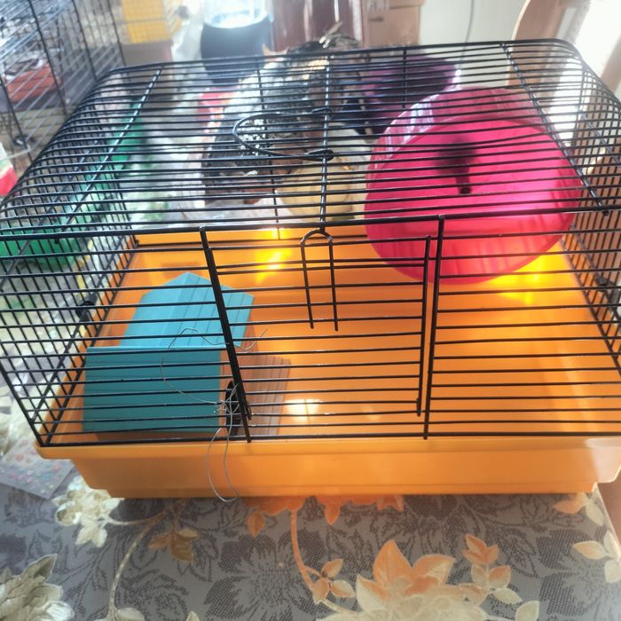 Klatka dla chomika dżungarskiego syryjskiego szczur 41x24x23 cm.