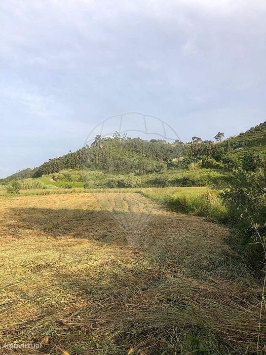Terreno  para venda
